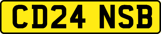 CD24NSB