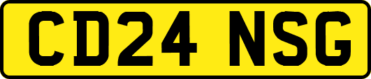 CD24NSG