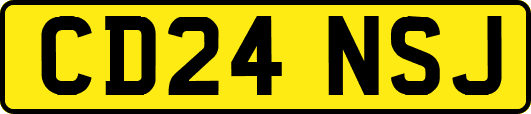 CD24NSJ