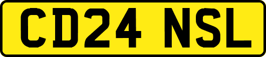 CD24NSL