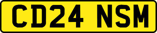 CD24NSM