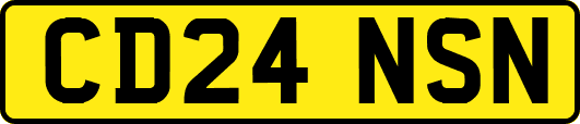 CD24NSN