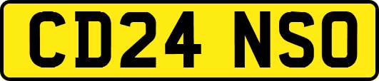 CD24NSO