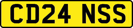 CD24NSS