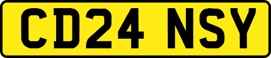 CD24NSY