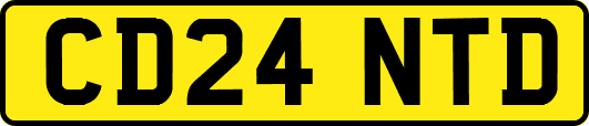 CD24NTD