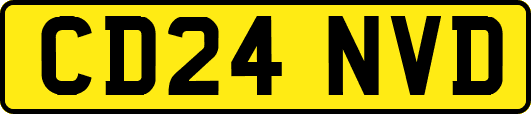 CD24NVD