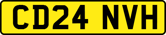 CD24NVH
