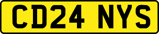 CD24NYS