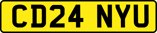 CD24NYU