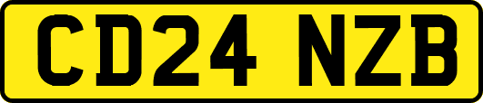 CD24NZB
