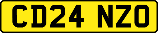 CD24NZO