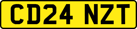 CD24NZT