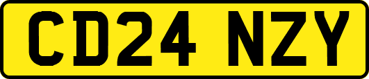 CD24NZY
