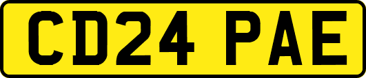 CD24PAE