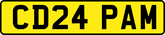 CD24PAM