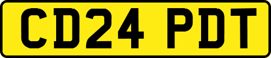 CD24PDT