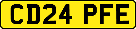 CD24PFE