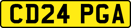 CD24PGA