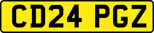 CD24PGZ