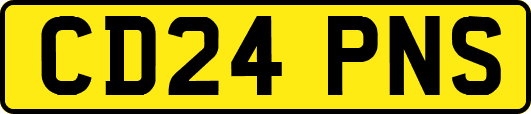 CD24PNS