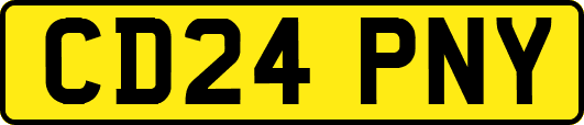CD24PNY