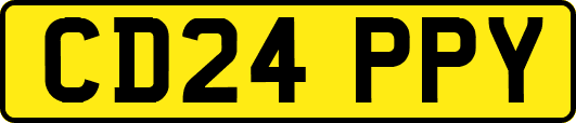 CD24PPY