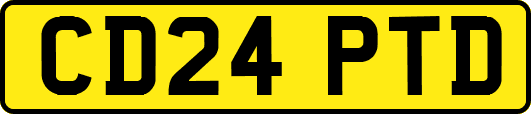 CD24PTD