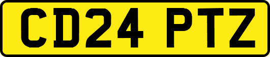 CD24PTZ