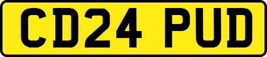 CD24PUD
