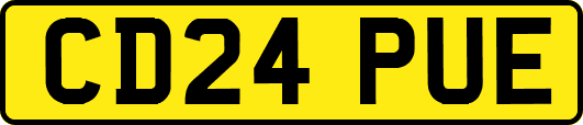 CD24PUE