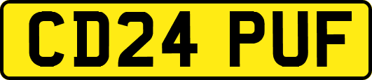 CD24PUF