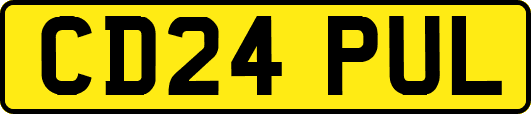 CD24PUL