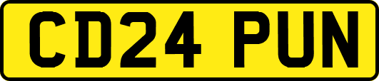 CD24PUN