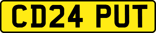 CD24PUT