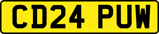 CD24PUW