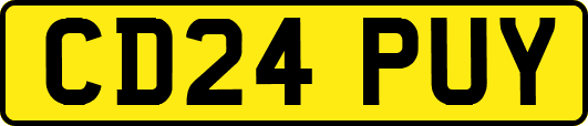 CD24PUY