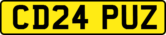 CD24PUZ