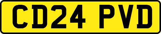 CD24PVD