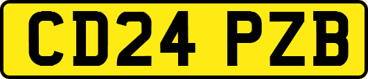 CD24PZB