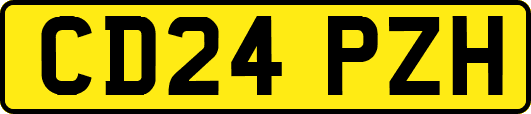 CD24PZH