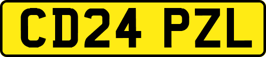 CD24PZL