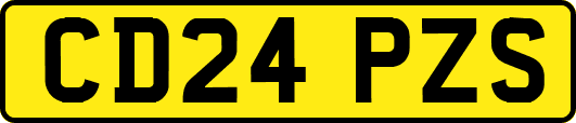 CD24PZS