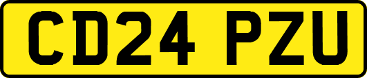 CD24PZU