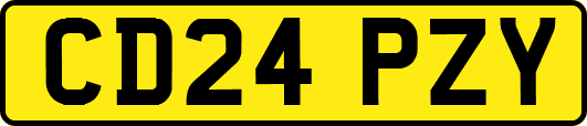 CD24PZY