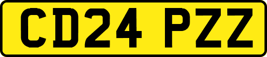 CD24PZZ