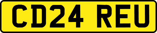 CD24REU