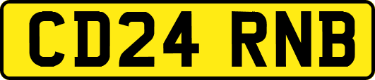 CD24RNB