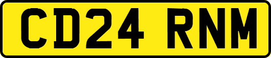 CD24RNM