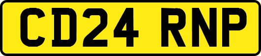 CD24RNP